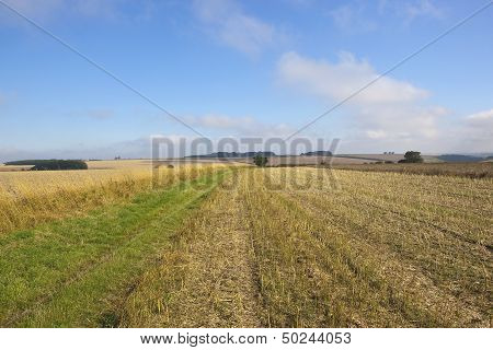 Wolds Way Landscape