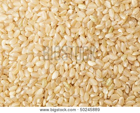 Brown rice background