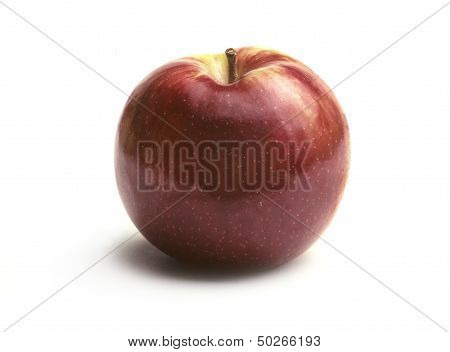 Single Macintosh Apple On White