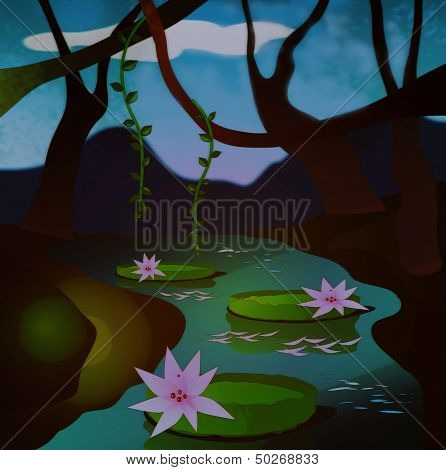 Magical night in the rainforest