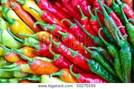 green and red chili