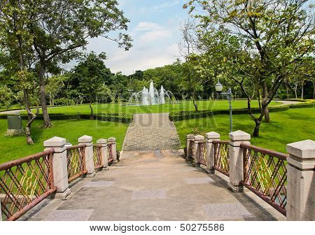 Stone pathway in garden