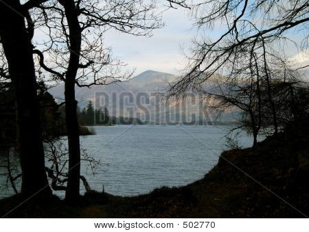 Derwent Water gennem træer