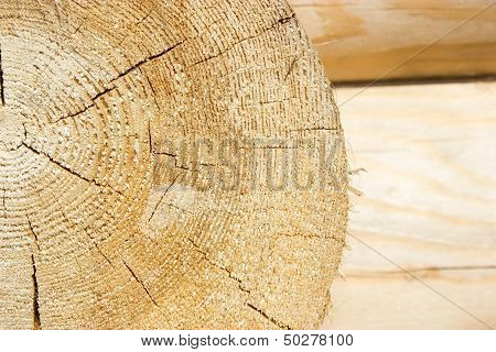 Wooden Wall From Timber