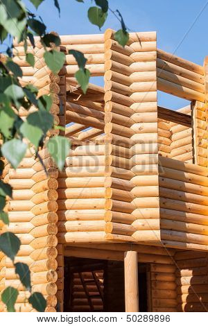 Wooden Bilding From Timber