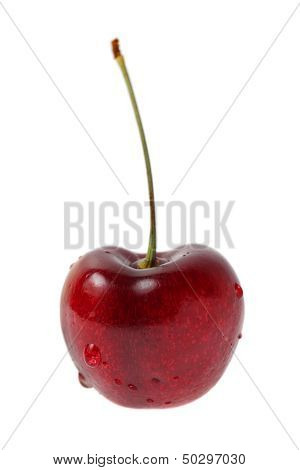 Cherry