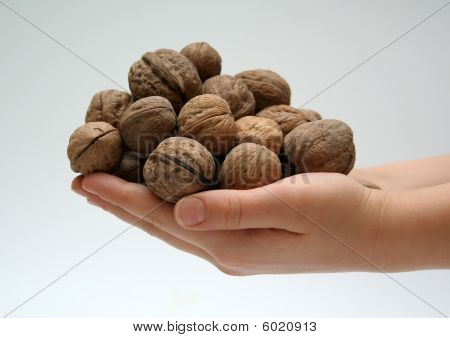 pähkinät