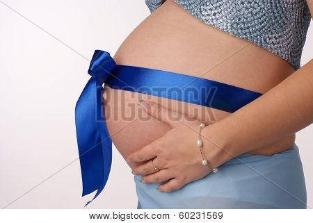 Human Pregnancy.