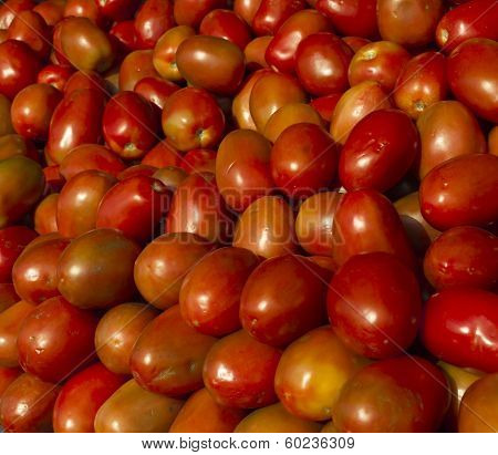 Asian best tomato