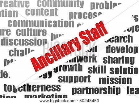 Ancillary Staff Word Cloud