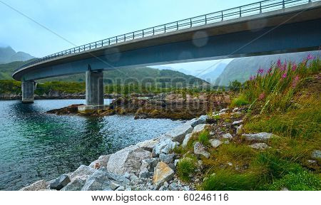 Norwegian Sea Night View And Bridge
