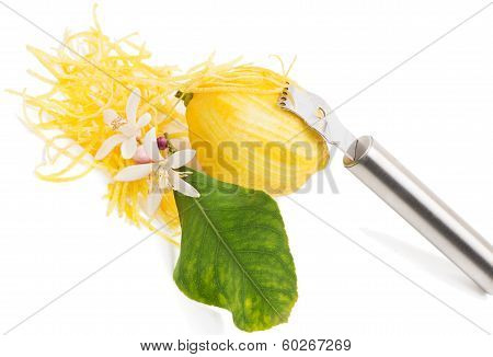 Lemon Zest And Blossom