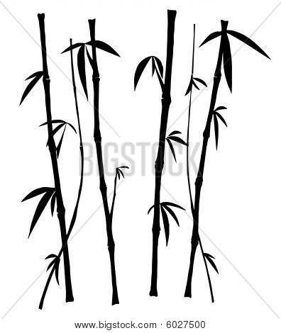 Bambu
