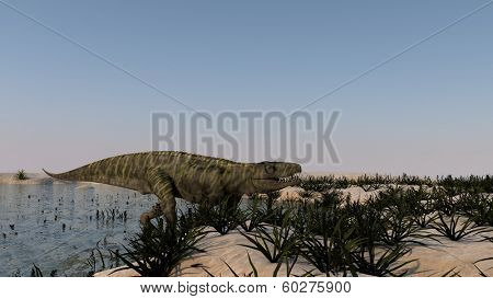 Batrachotomus walking on shore
