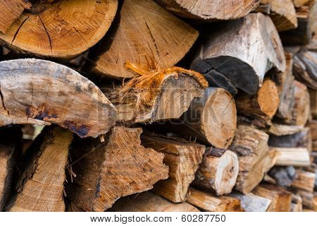 Firewood logs