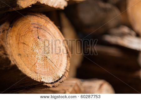 Firewood logs