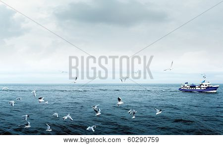 Seagulls On Sea