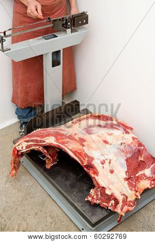 Butcher Weighs Meat