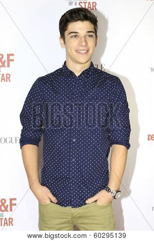 LOS ANGELES - FEB 22: Sean O'Donnell at the Abercrombie & Fitch 'The Making of a Star' Spring Campaign Party on February 22, 2014 in Los Angeles, CA
