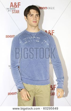LOS ANGELES - FEB 22: Steven R McQueen at the Abercrombie & Fitch 'The Making of a Star' Spring Campaign Party on February 22, 2014 in Los Angeles, CA