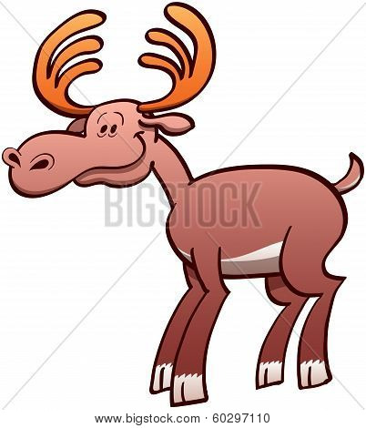 Gentle brown moose with big antlers