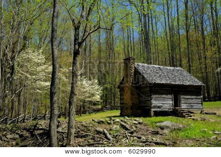 Cabaña de madera en el Parque Nacional de Smokey Mountain