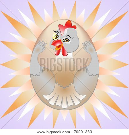 Chicken egg
