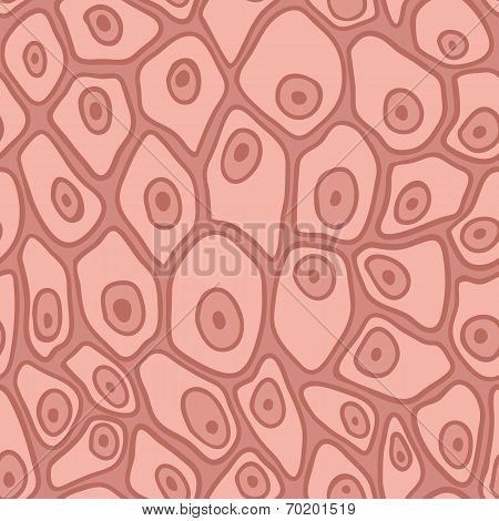 pattern of the skin