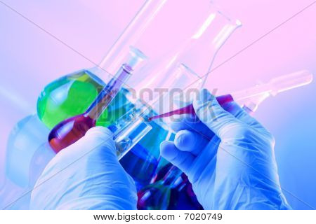Organismo geneticamente modificato