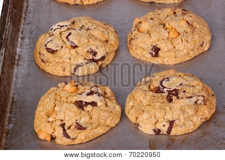 Freshly Baked, Home-made Chocolate And Butterscotch Chip Cookies