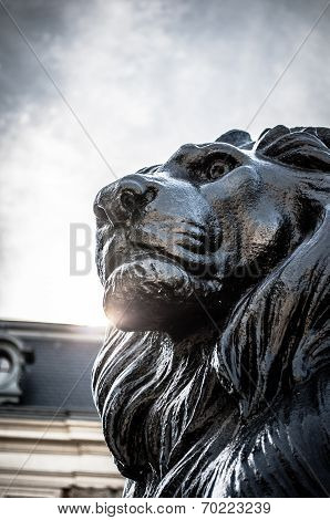 Guardian lion
