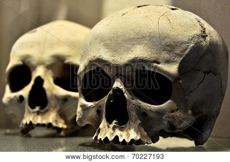 Two Human Skulls
