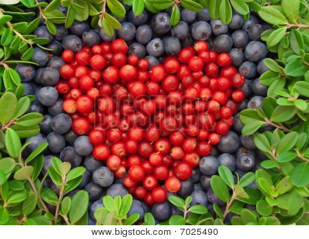 Cuore da bacche