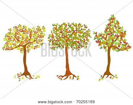 A set of autumn trees
