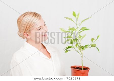 mladá žena vědec botanické se stromečkem