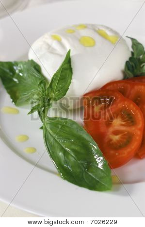 อย่างใกล้ชิดของสลัด