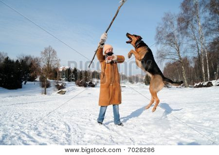 Glad pige hoppe med hund mod blå himmel