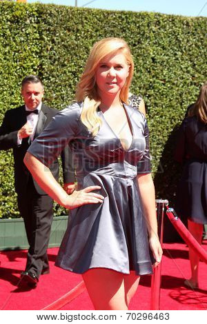 LOS ANGELES - AUG 16:  Amy Schumer at the 2014 Creative Emmy Awards - Arrivals at Nokia Theater on August 16, 2014 in Los Angeles, CA