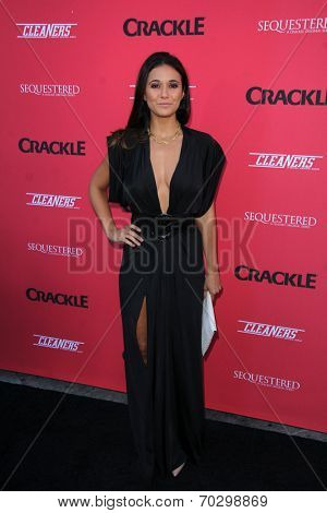 LOS ANGELES - AUG 14:  Emmanuelle Chriqui at the Crackle Presents the Premieres of 