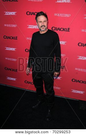 LOS ANGELES - AUG 14:  David Arquette at the Crackle Presents the Premieres of 