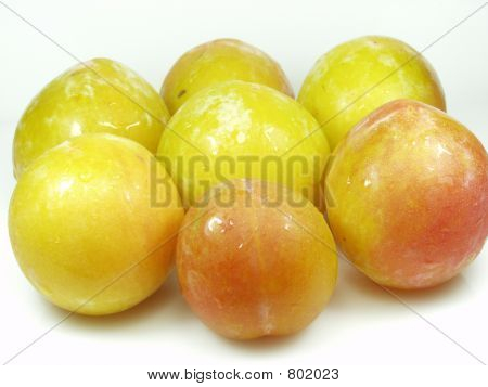 Prune