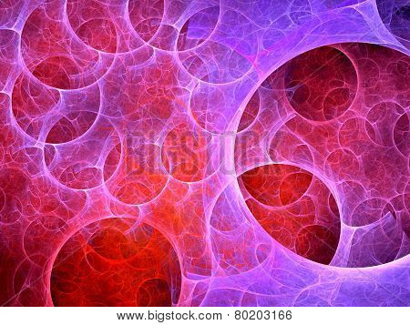 Multiverse Bubbles Fractal