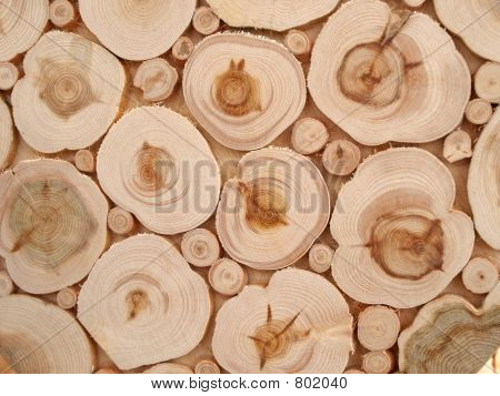Kutup huş ağacı sheaves mozaik