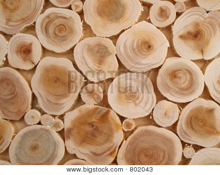 İki kutup huş ağacı sheaves mozaik