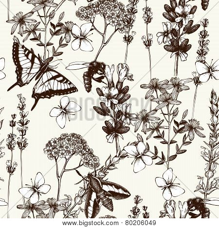 herbs flowers pattern