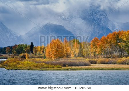 Tetons Vista