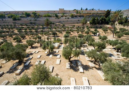 Kidron Valley In Jerusalem