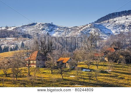 Countryside Landscape