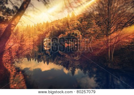 Scenic Park Sunset