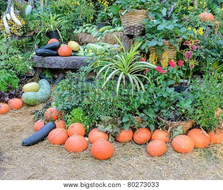 Decorated Ripe Vegetables Garden